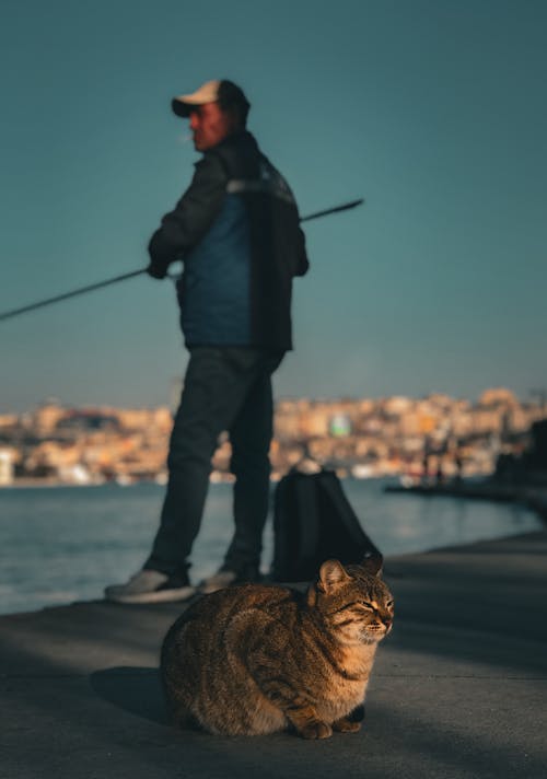 A cat sitting on the ground next to a man fishing