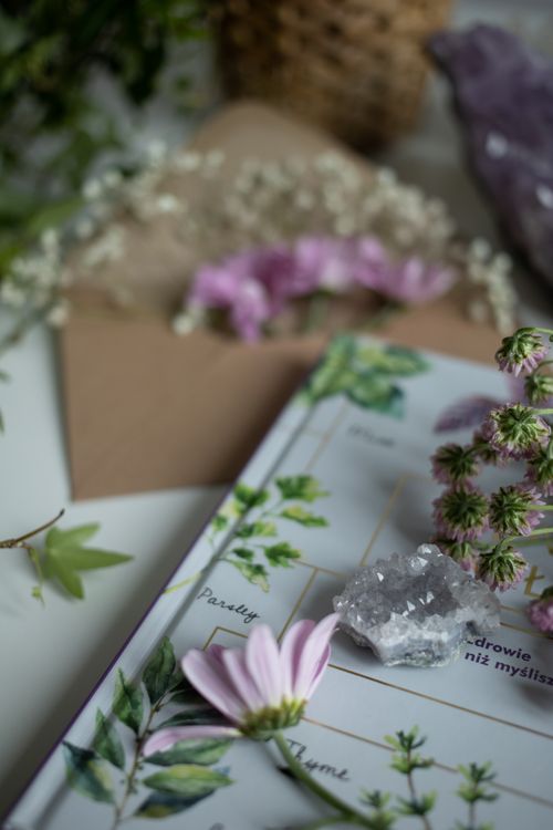 Free Aesthetic rustic scene featuring pink flowers, crystals, and a botanical notebook. Stock Photo