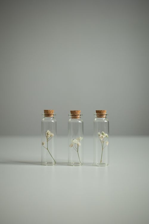 Free Three glass bottles with delicate white flowers arranged in a minimalist style, perfect for decor. Stock Photo