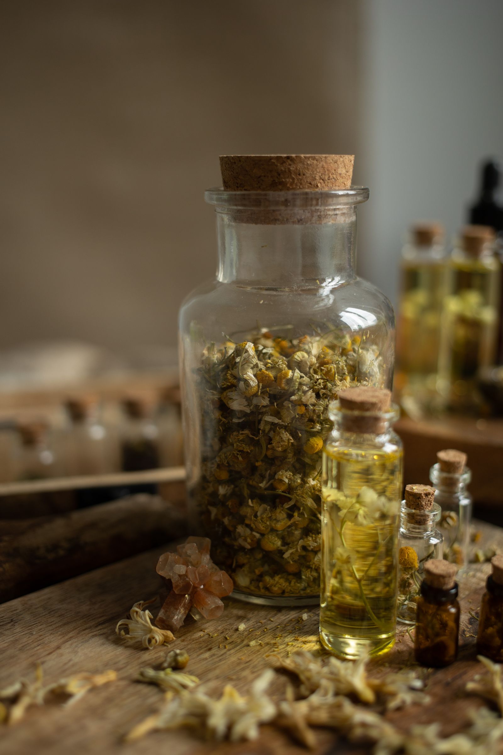 Wall of traditional herbs