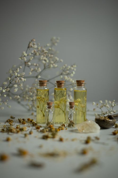 Free Elegant glass bottles with natural oils and flowers for aromatherapy, placed on a white surface. Stock Photo