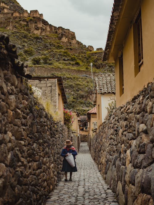 Foto profissional grátis de alameda, aldeia, aldeias