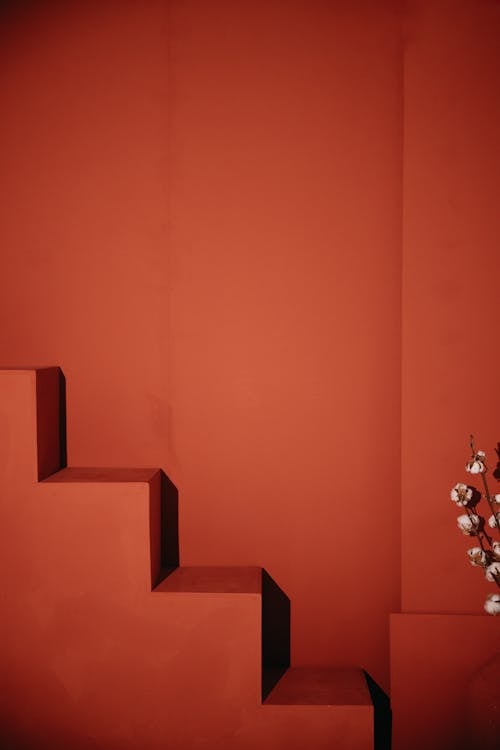 A red wall with stairs and a flower