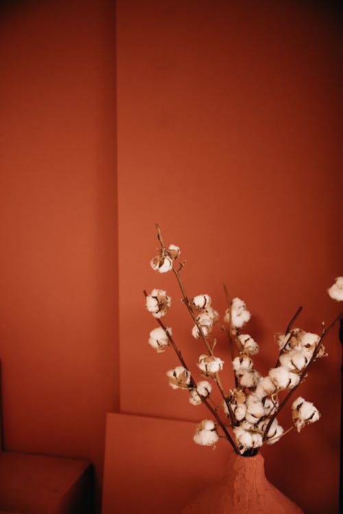 A vase with flowers in it against a red wall