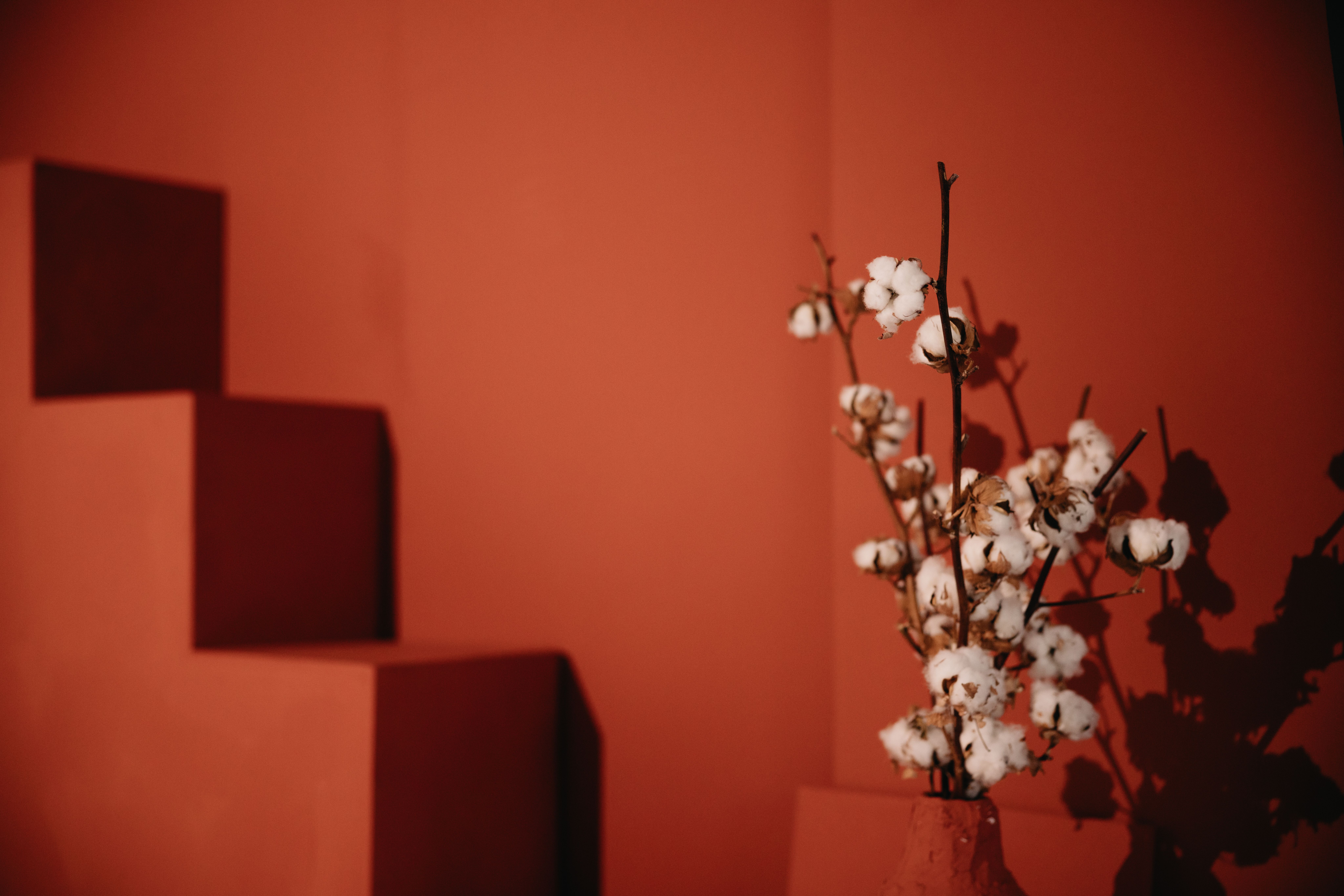 Terracotta : Déco tendance couleur 2026