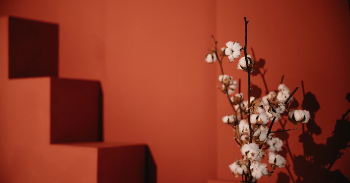 Terracotta : Déco tendance couleur 2026