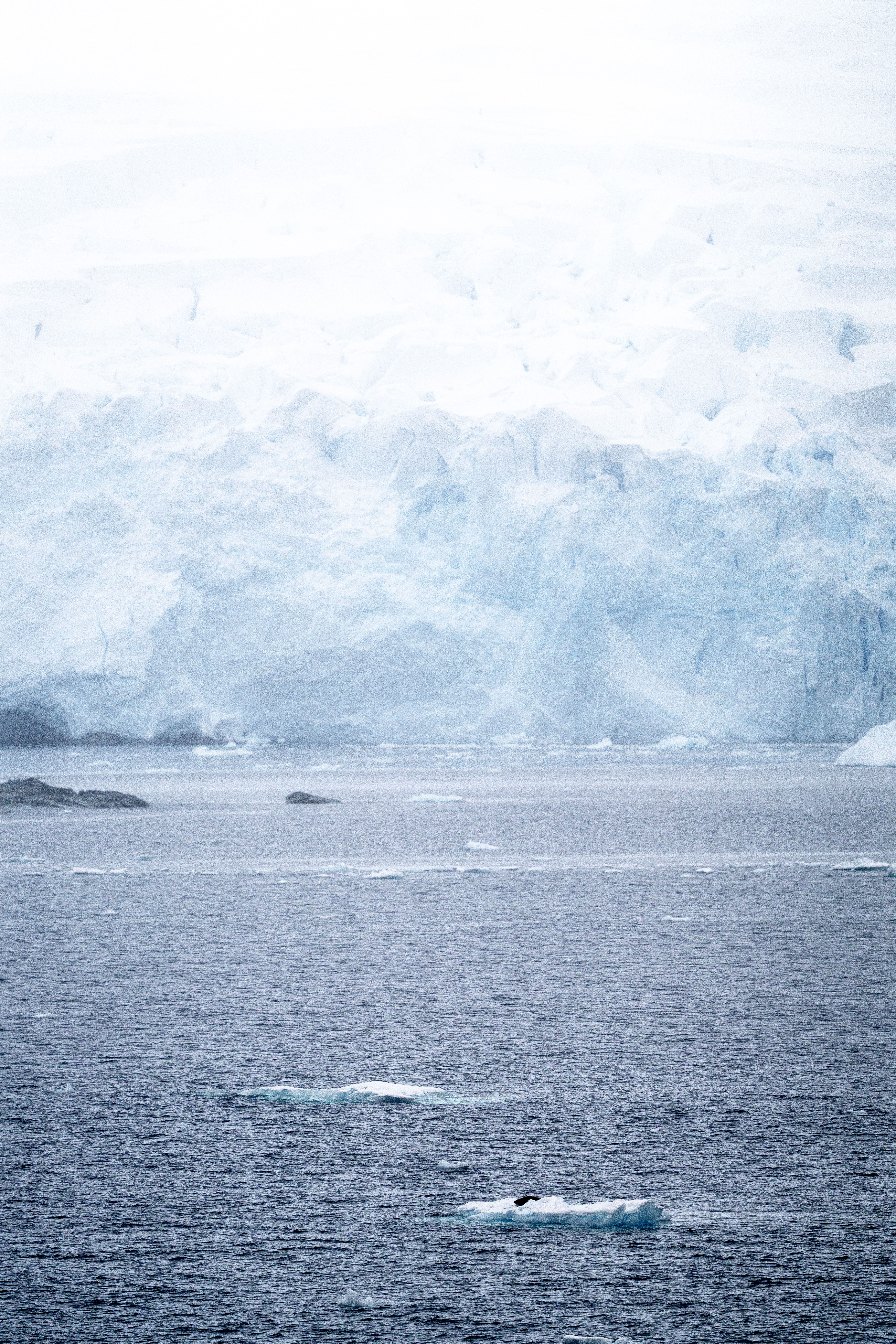 Explore the stunning beauty of icy Antarctic landscapes with towering icebergs and tranquil sea.