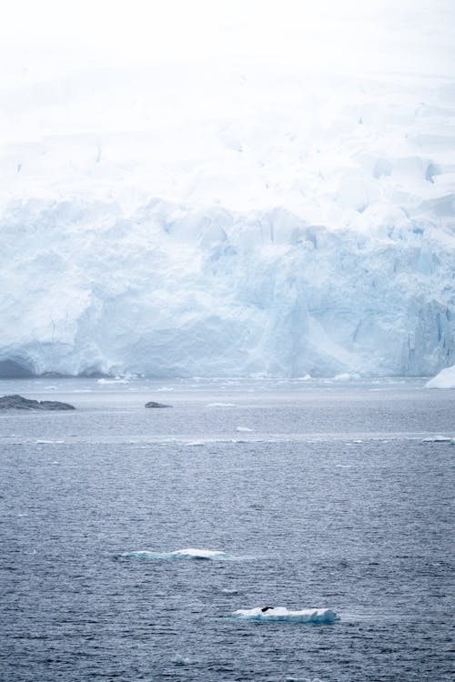 Imagine de stoc gratuită din aisberg, coastă, fotografiere verticală
