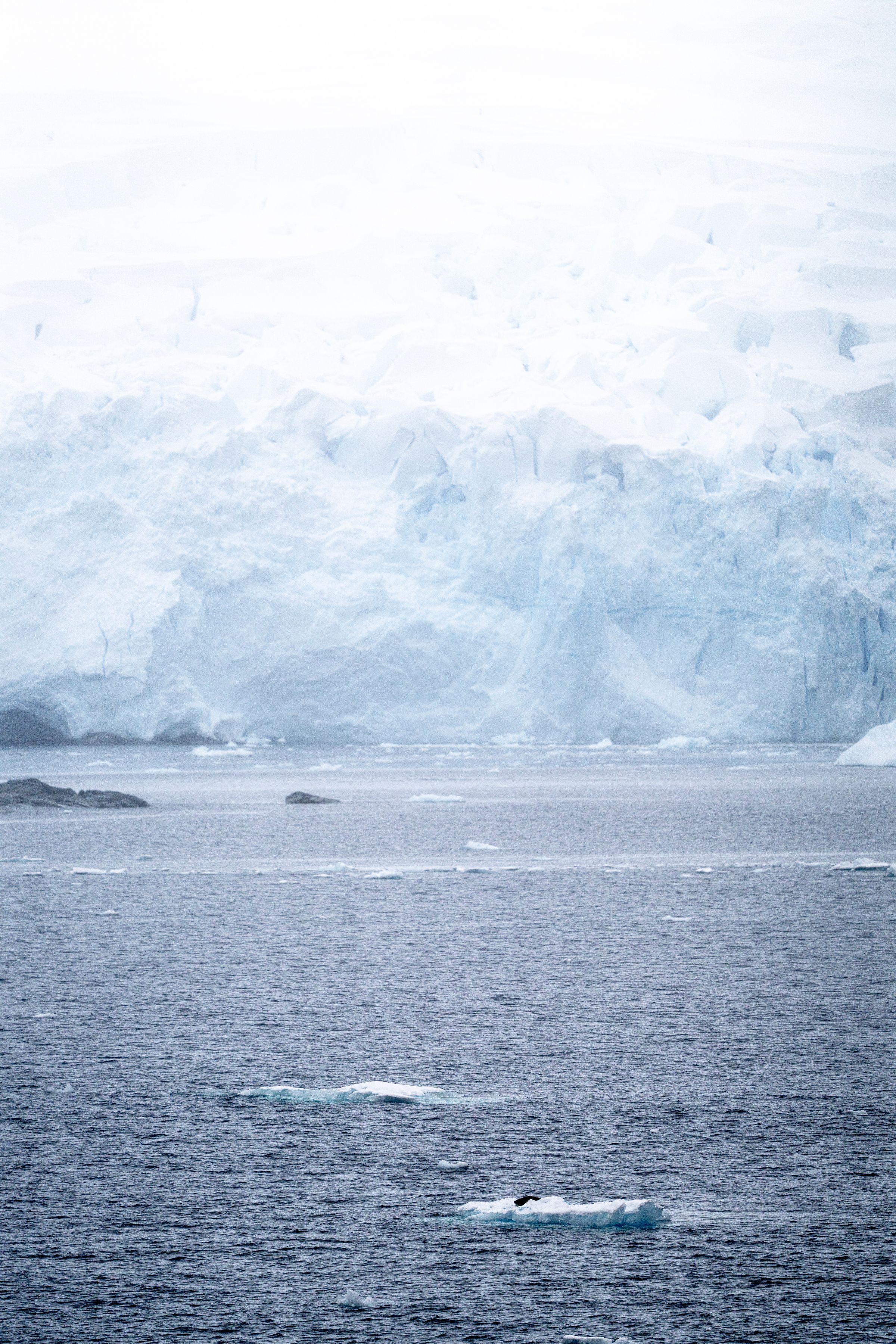 Massive Antarctic iceberg