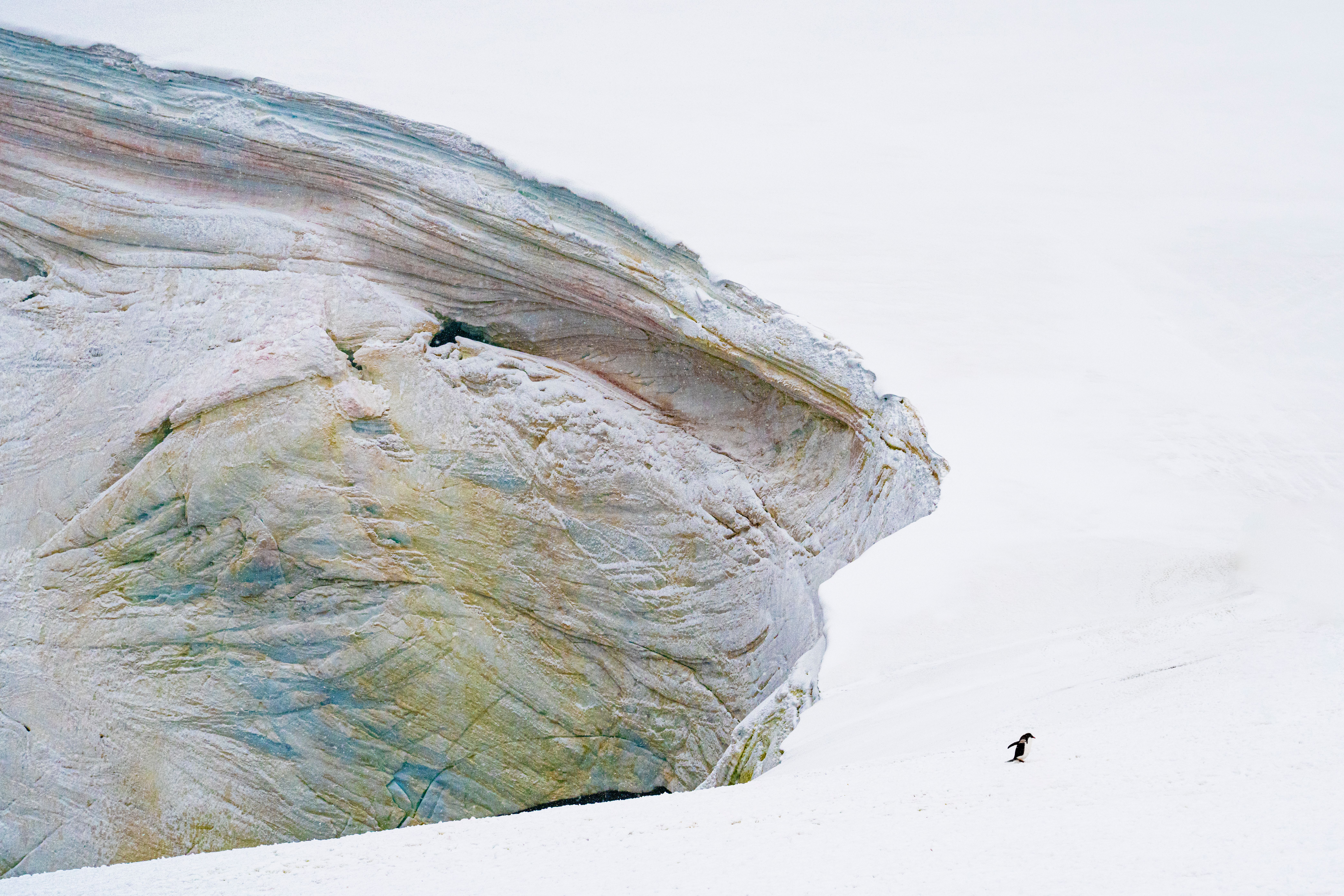 Ein einsamer Pinguin in einer verschneiten Antarktislandschaft mit atemberaubenden Eisformationen.