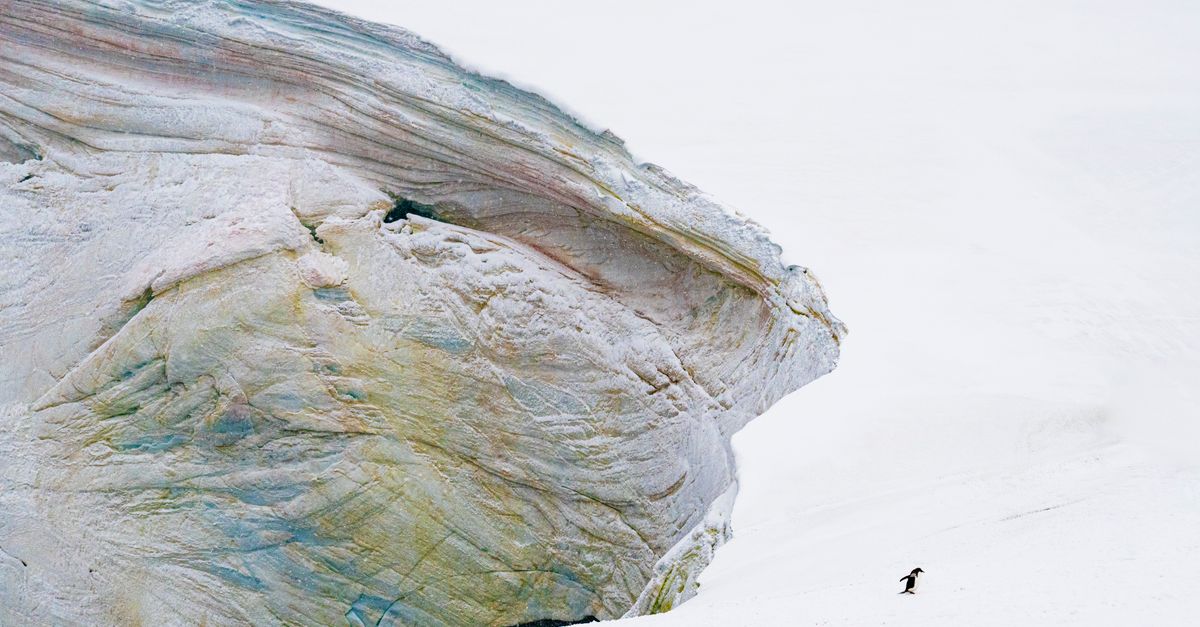 antarctica