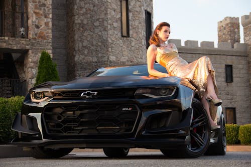 Foto profissional grátis de camaro, castelo, modelo do carro