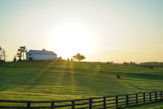 Beautiful sunrise illuminating a peaceful Kentucky farm with lush green pastures and grazing horses.
