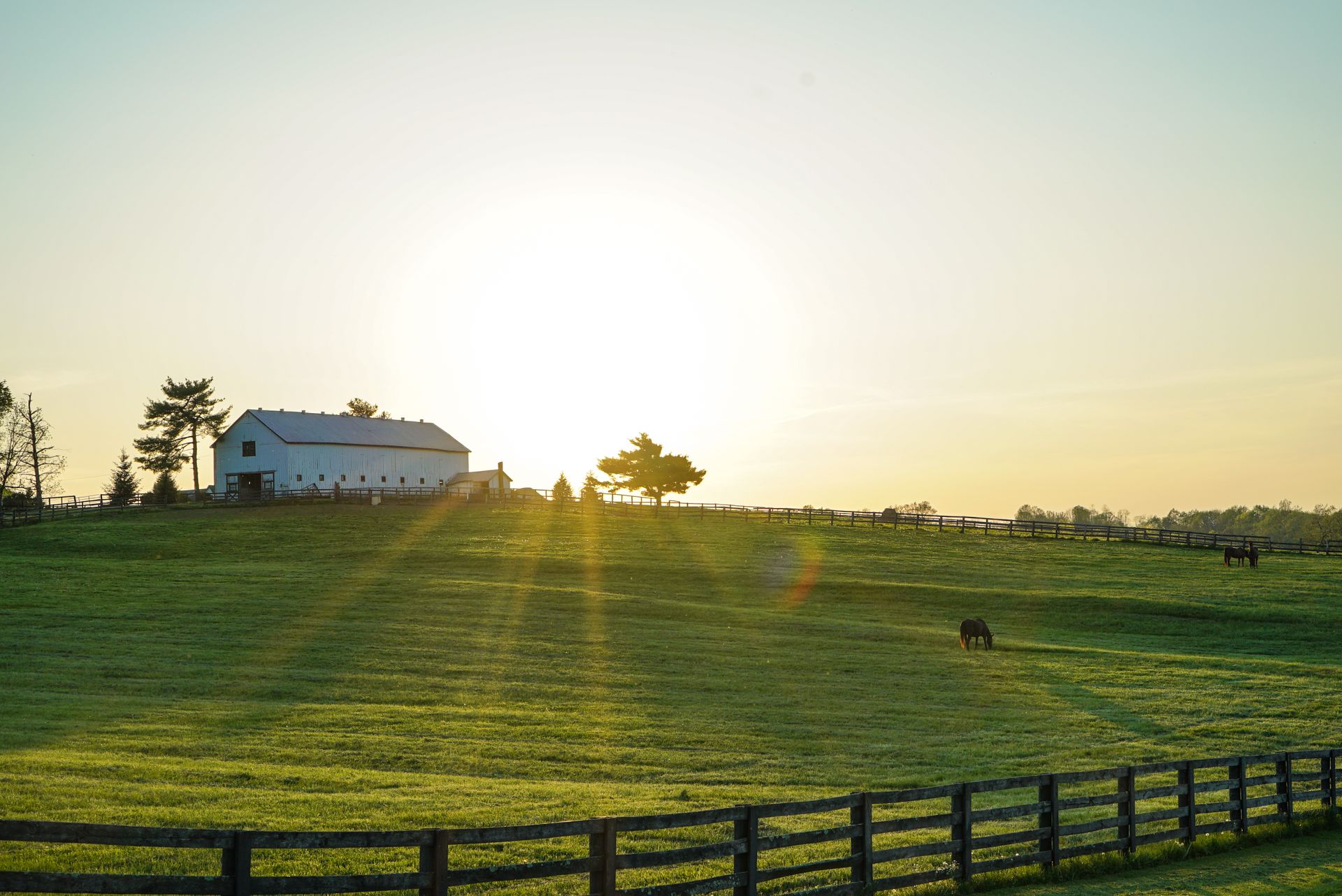 Sunrise over a peaceful farm with green pastures