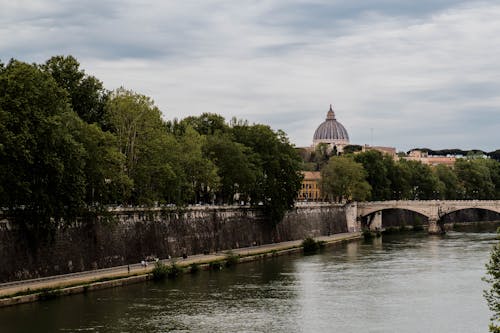 Безкоштовне стокове фото на тему «Будівля, Ватикан, дерева»