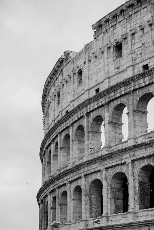 Foto stok gratis Colosseum, hitam & putih, itali