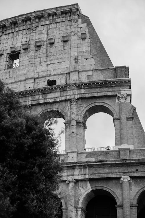 Foto stok gratis Colosseum, dinding, hitam & putih