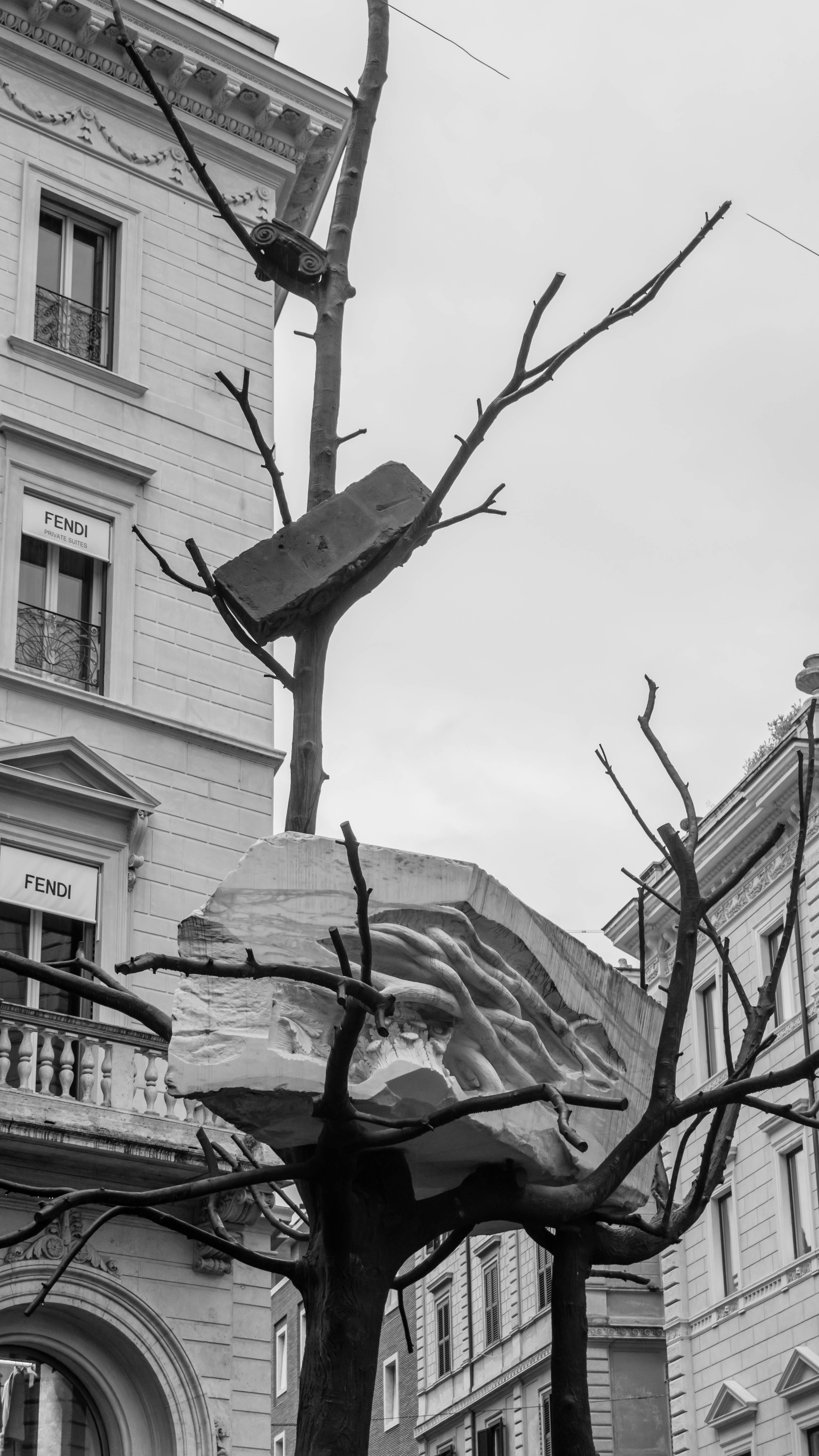 Black and white photo of a unique tree sculpture in Rome's urban setting.