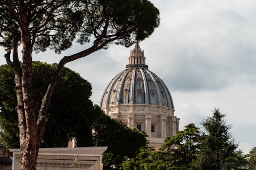 Foto profissional grátis de abóboda, árvores, católico