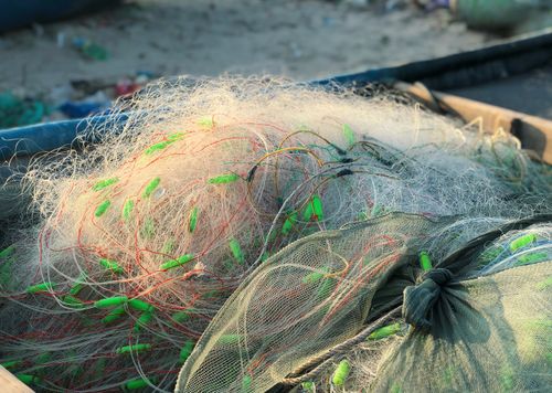 Free Close-up of colorful, tangled fishing nets with floats on a boat, bathed in sunlight. Stock Photo