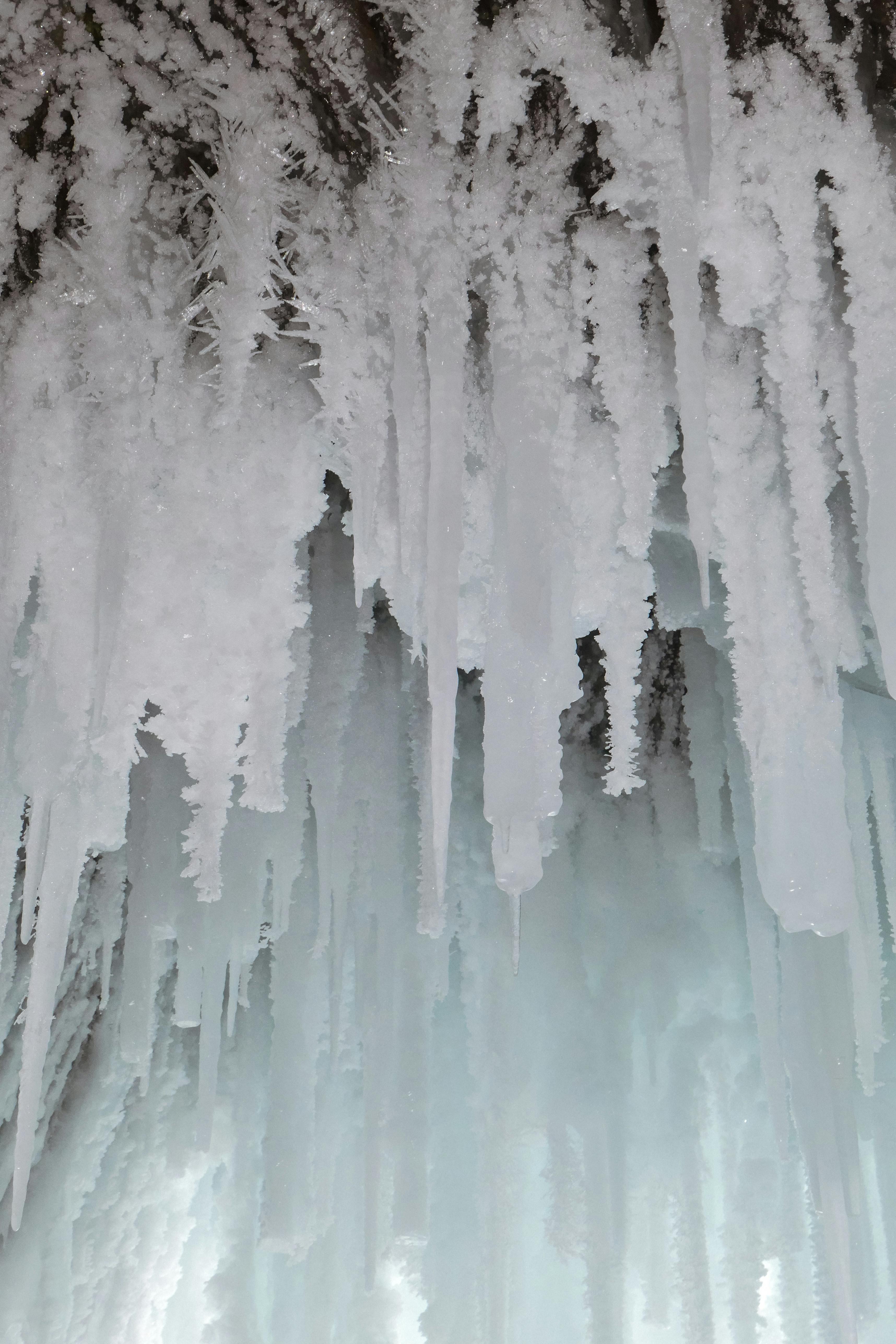 Snow and Icicles · Free Stock Photo