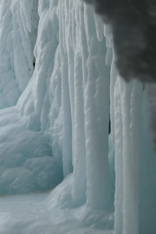 คลังภาพถ่ายฟรี ของ ขาว, ธรรมชาติ, น้ำแข็ง