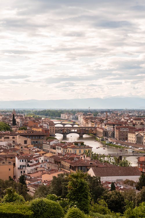 The view of the city of florence from a hill
