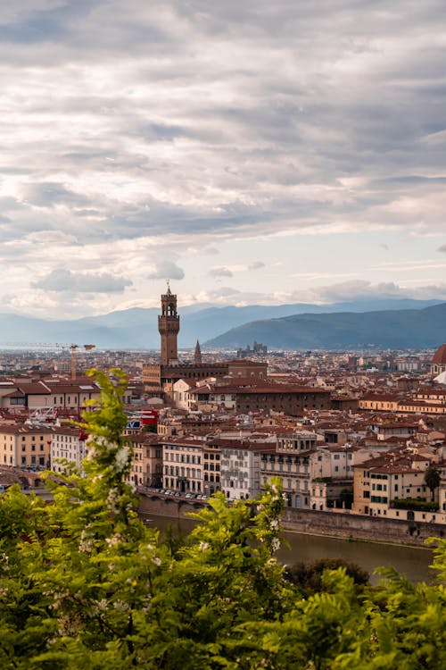 The city of florence is seen from a hill