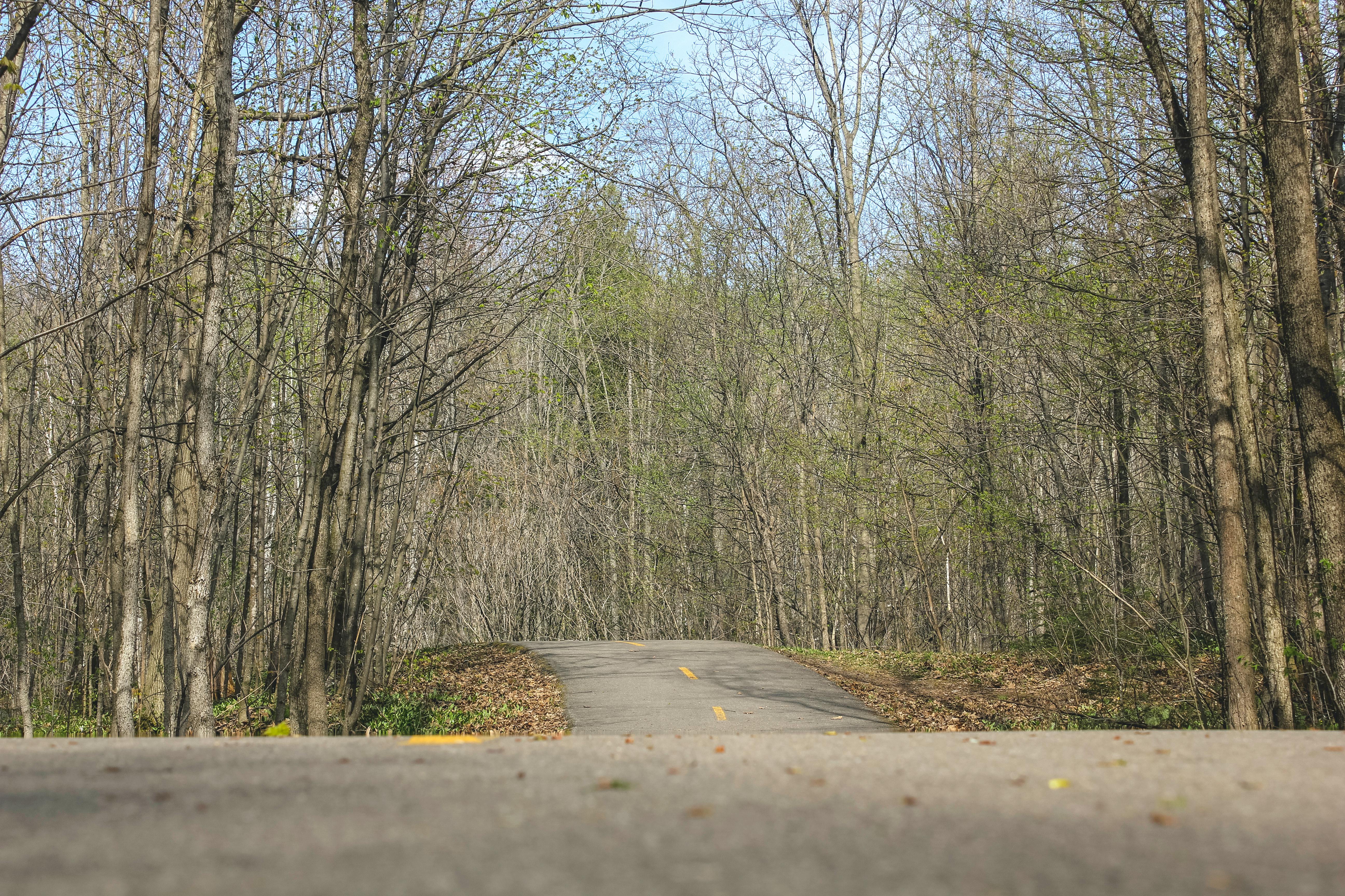 DuPage Forest Preserve executive director leaving for city manager job in Florida — Photo by Josh Eleazar on Pexels