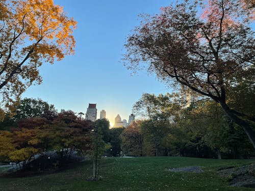 中央公園, 城市景觀, 太陽升起 的 免費圖庫相片