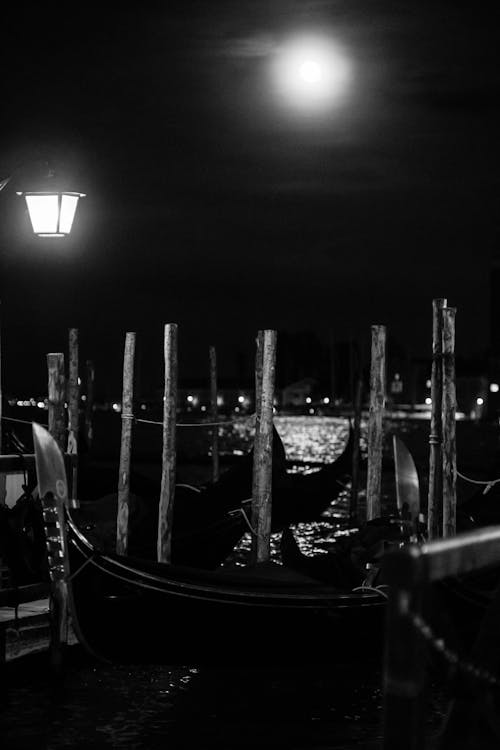 威尼斯, 威尼斯人, 威尼斯狂歡節 的 免費圖庫相片