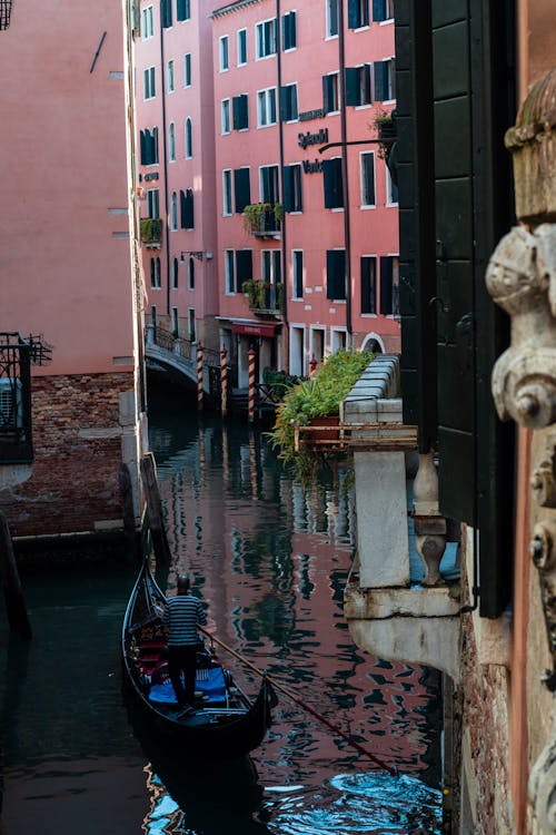 威尼斯, 威尼斯人, 威尼斯狂歡節 的 免費圖庫相片