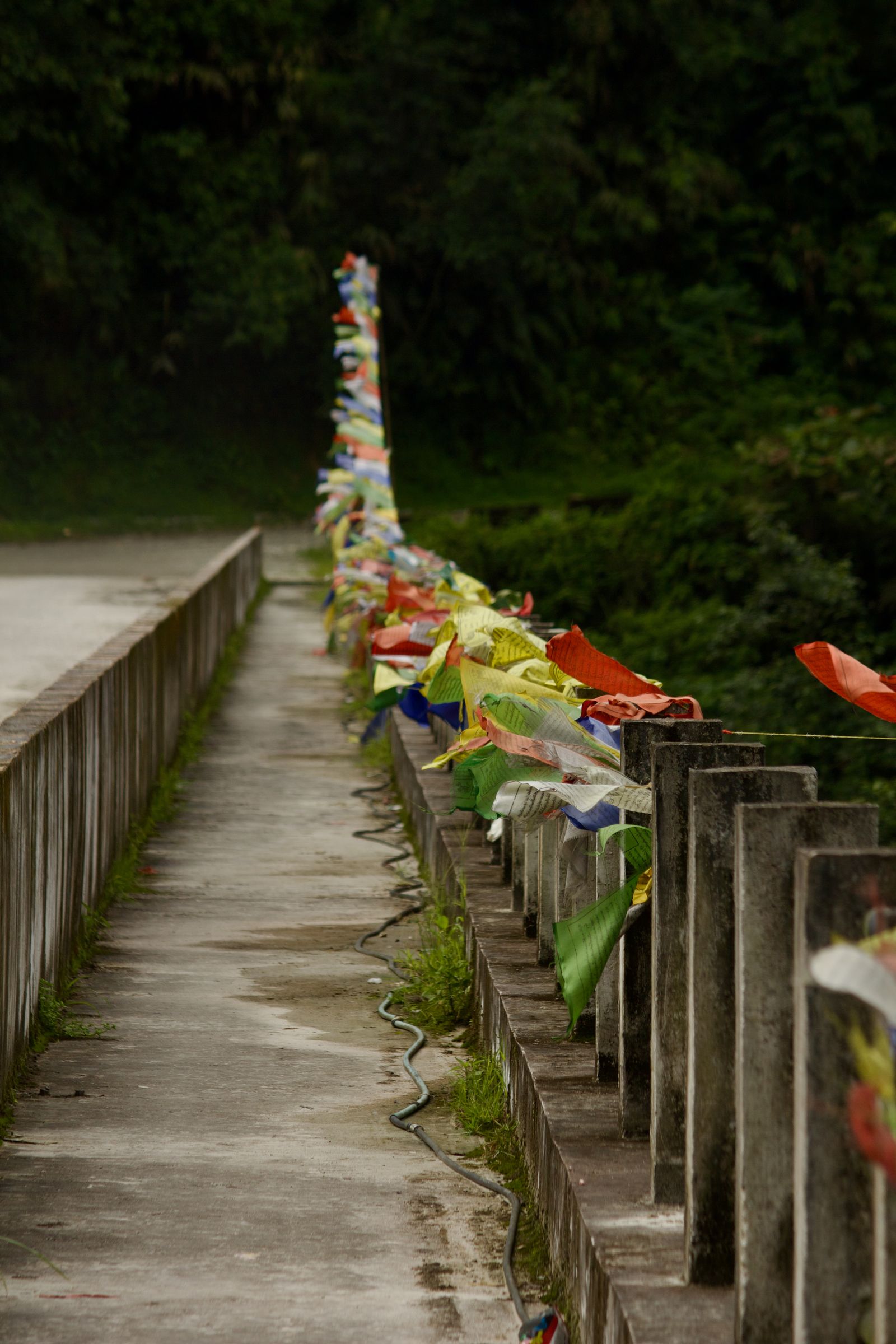 Prayer flags strung along the walkway of a bridge on the wooded approach to Tashiding in West Sikkim