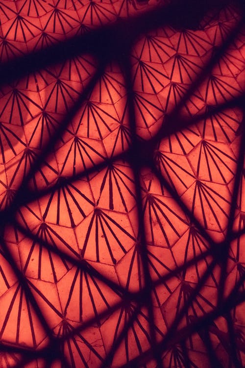The red light of the sun shines through the pattern of the red fabric