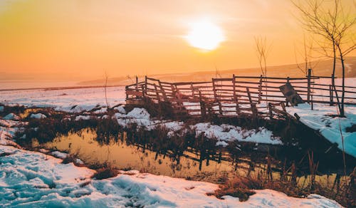 冬季, 冷, 围栏 的 免费素材图片