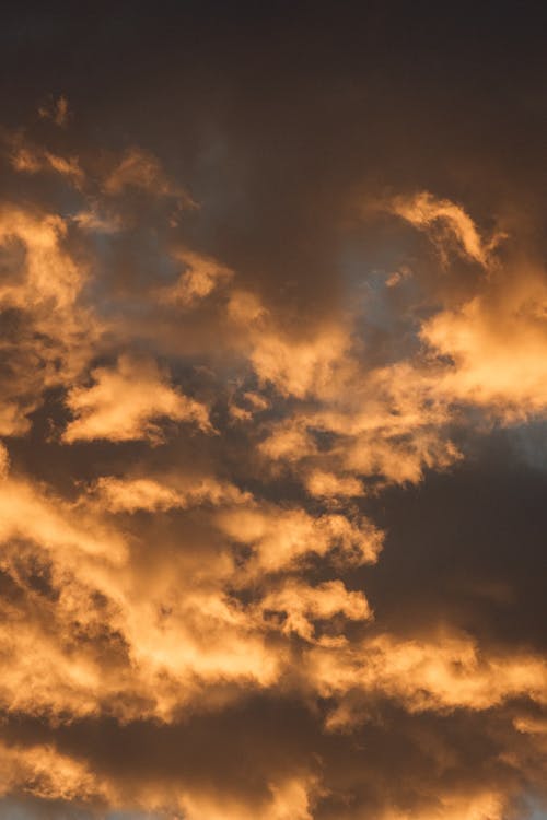 Бесплатное стоковое фото с вертикальный выстрел, закат, небо
