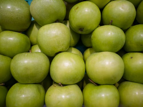 Five crisp healthy green apples - Free Stock Image