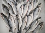 新鲜鲈鱼的冰上特写，非常适合海鲜市场或美食概念