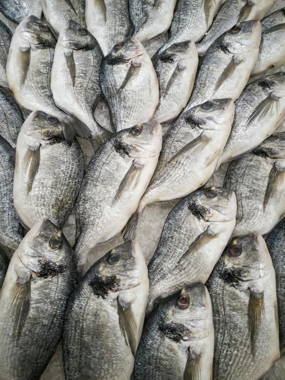 Plokkfiskur (Icelandic Fish Stew)