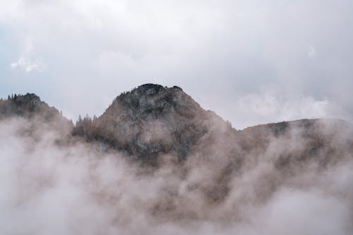 Бесплатное стоковое фото с вершина, гора, деревья