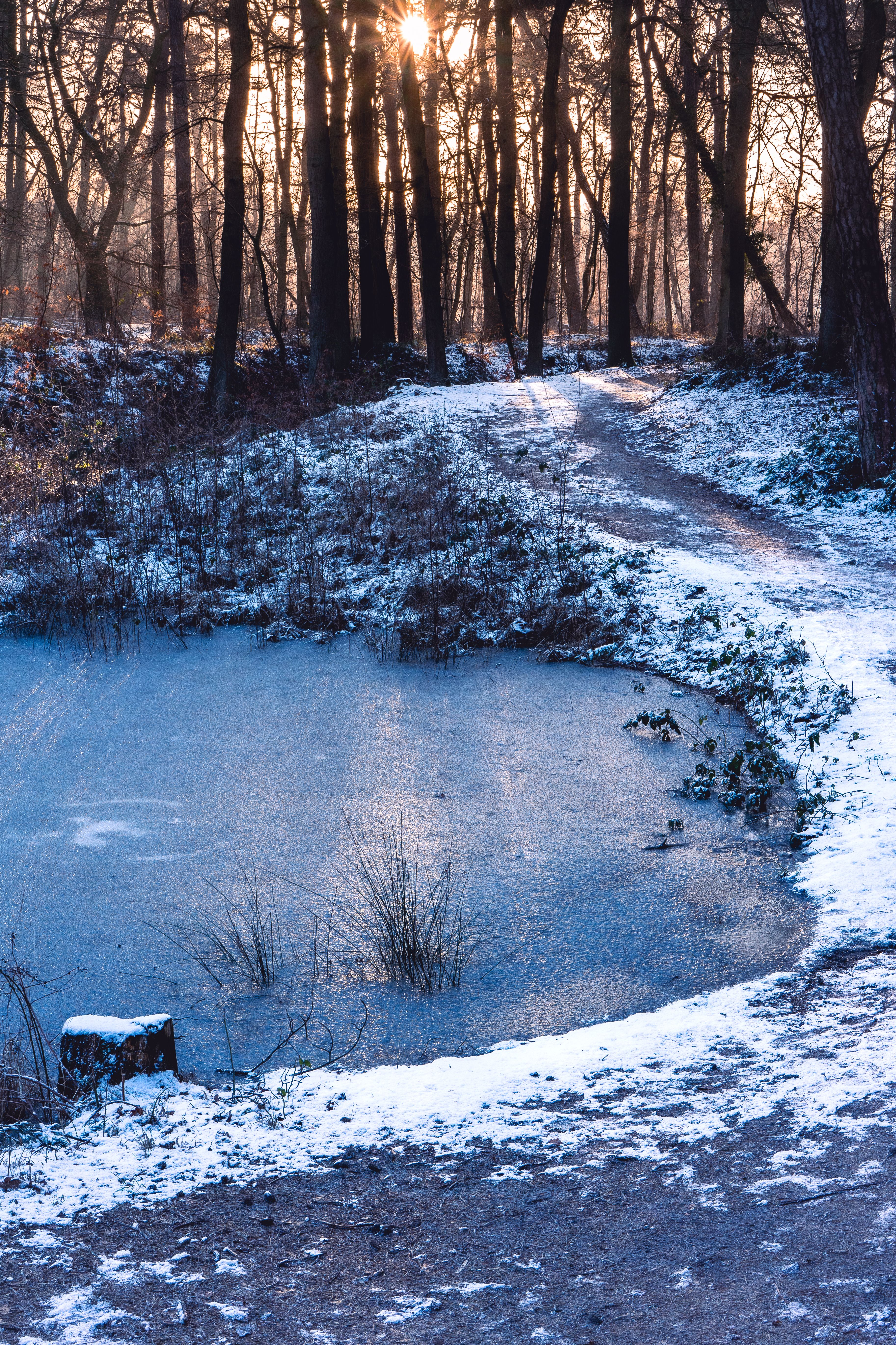 Winterday Sunset on a cold winterday in Oisterwijk, The Netherlands. · Free Stock ...