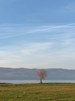 Image by Ahmet  Kayra