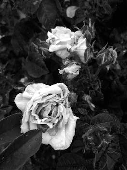 Image by Yuliana Pavlova