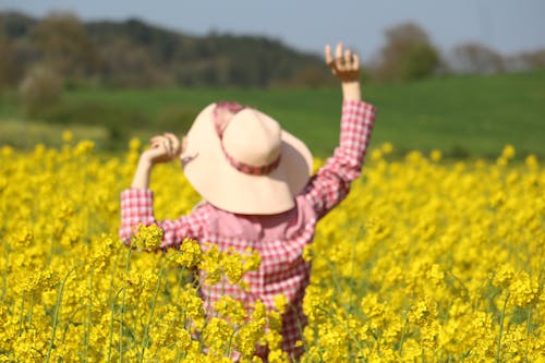 A woman in a hat is standing in a field of yellow flowers