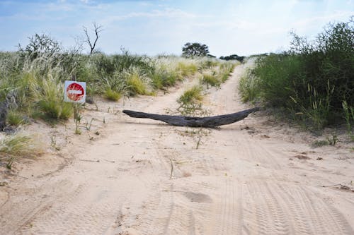 アフリカ, レソト, 砂の道の無料の写真素材
