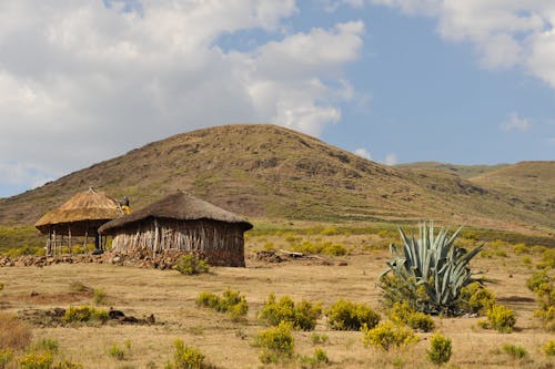 Kostnadsfri bild av afrika, grön kulle, hydda