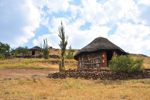 African Thatched Hut