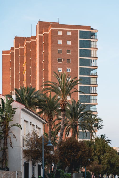 Residential Building behind Palm Trees