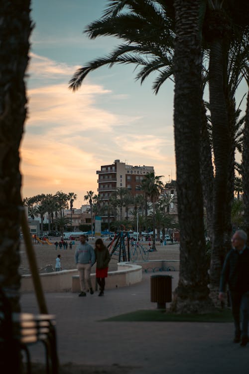 People Walking next to Playground between Palm Trees