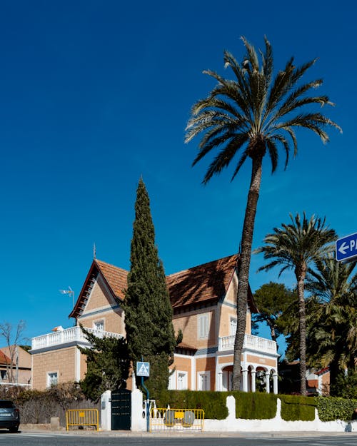 A house with palm trees in front of it